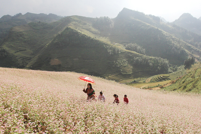 bay du luon tren tham hoa tam giac mach1