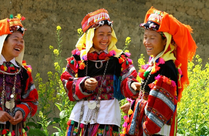 cao nguyen da3