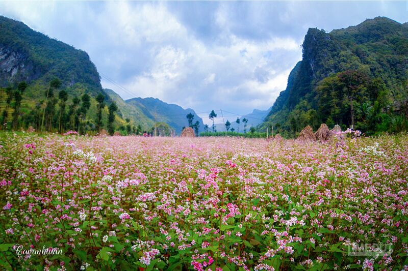 ha giang.3