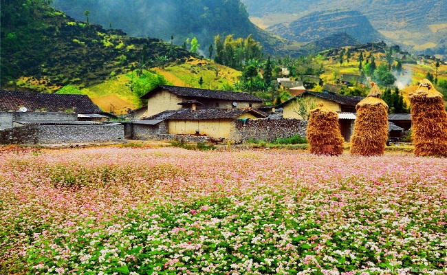 thung lung sung la4
