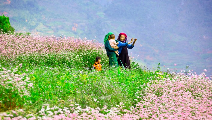 vi vu ha giang1